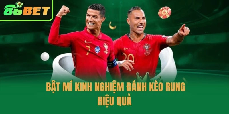 Bật mí kinh nghiệm đánh kèo rung hiệu quả
